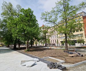 Tak teraz wygląda plac Wolności w Bydgoszczy. Powrót kwiaciarek ponownie opóźniony