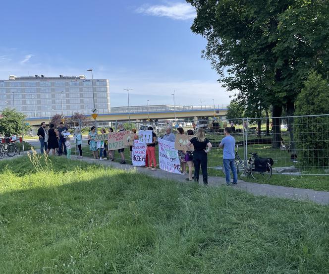 Linia tramwajowa do Mistrzejowic. Protest ws. wycinki drzew w Krakowie