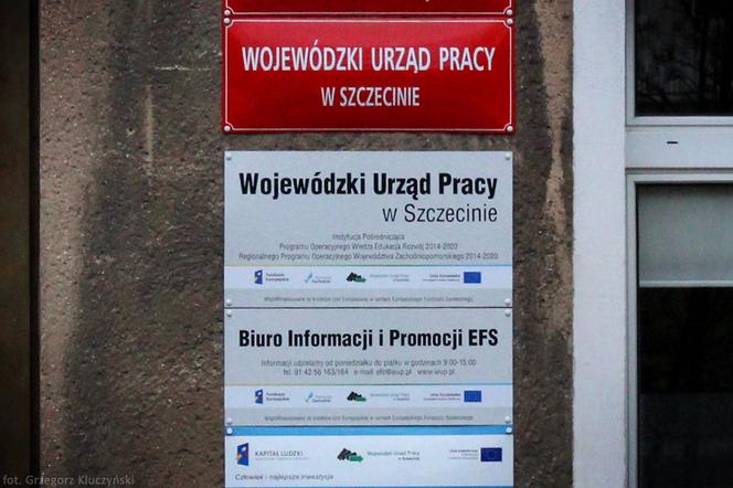 Pandemia nie zamroziła unijnych funduszy. Szczeciński WUP działa na 100% 