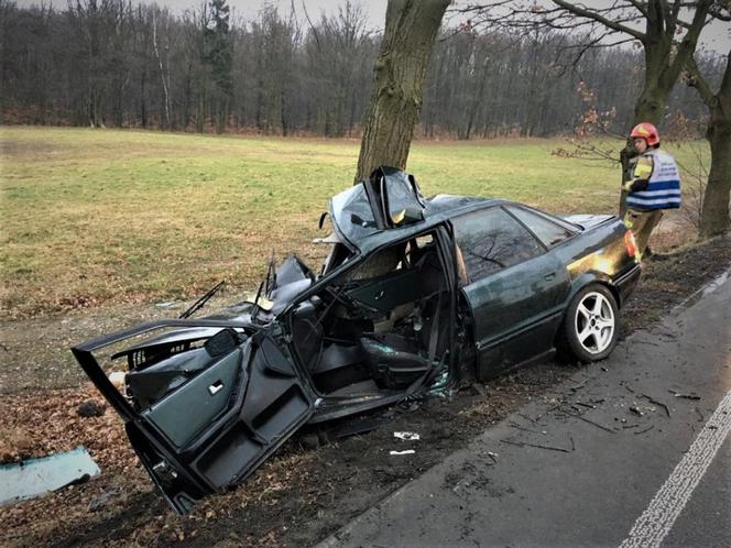 Zawinął się na drzewie starym Audi