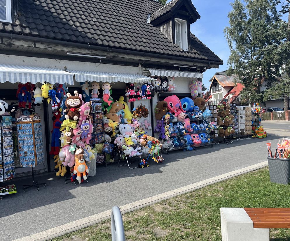 Pluszowa kapibara hitem nad Polskim morze. Jej cena potrafi być zawrotna