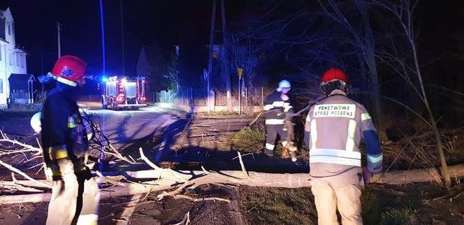 Wichury na Dolnym Śląsku