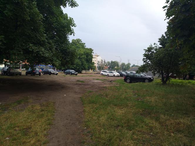 Wzdłuż parkingu Centrum Handlowego Arena wyrosną drzewa