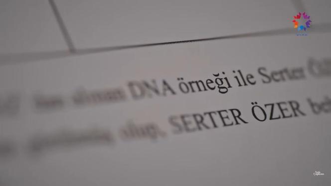 Wyniki testu DNA