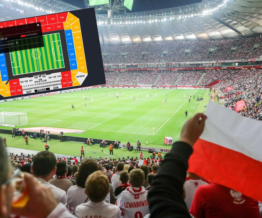 Bilety na mecz Polska - Chile 2022: sprzedaż ruszyła ZA SZYBKO? Kibice mocno poirytowani