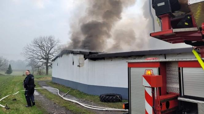 Pożar hali magazynowej w Gostyni ZDJĘCIA