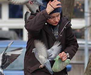 Anna Chodakowska. Gwiazda Labiryntu wśród ptaków