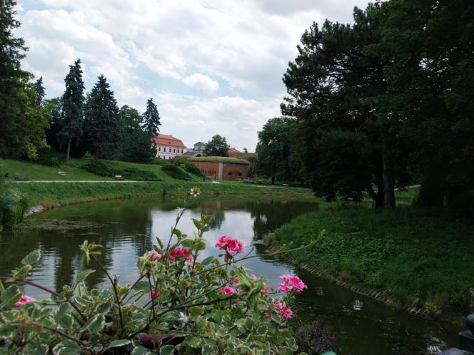 Letni spacer w parku miejskim w Zamościu