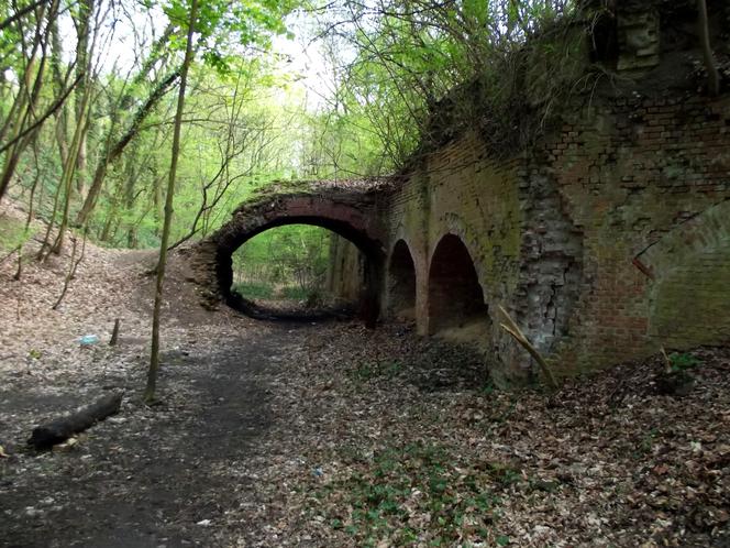 Tajemnicze ruiny na Cmentarzu Centralnym