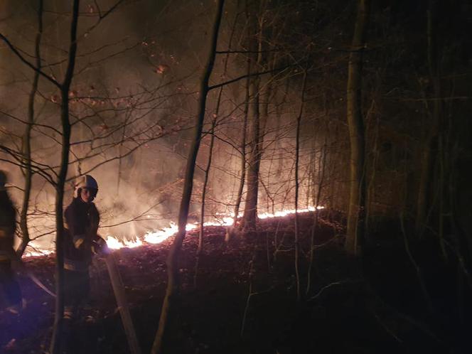 Pożary traw w regionie koszalińskim