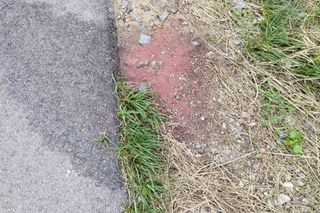 Ślady zbrodni na drodze, spalone ubrania ofiary spod Grójca. Sąsiedzi: Myśleliśmy, że to mafijne porachunki