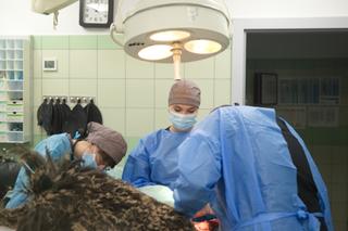 Operacja nogi strusia Tadzia