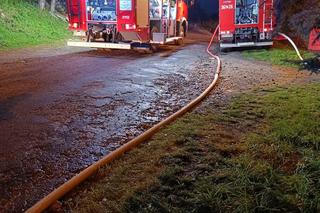 Tragiczny pożar w Przemyślu. Strażacy znaleźli sześć martwych koni