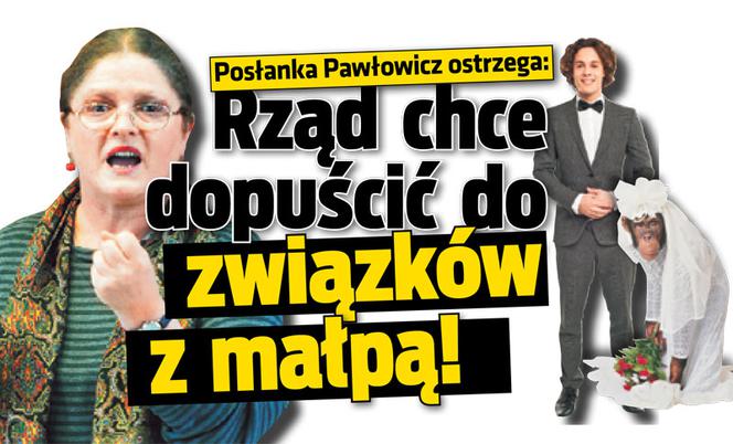 Posłanka Pawłowicz ostrzega: Rząd chce dopuścić do związków z małpą!