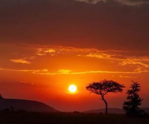 Serengeti 