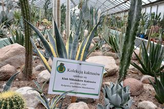 Spacer po ogrodzie botanicznym odbywa się w dniach 18 i 19 stycznia