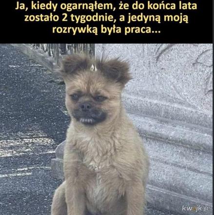 Rok szkolny tuż tuż! Zobacz najlepsze memy o końcu wakacji