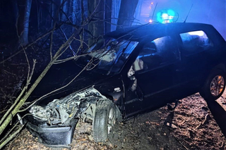 Orzesze: 19-latek roztrzaskał auto o drzewo