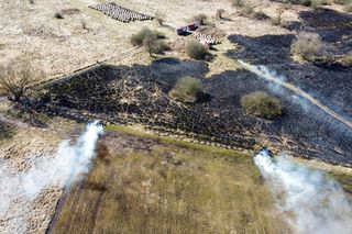 Pożar łąki w Szczecinie, 18.03.2025