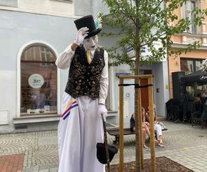 Busker Tour2023 zawitał do Zielonej Góry. Mamy zdjęcia z tego wydarzenia. Oto jak wyglądał pierwszy dzień 