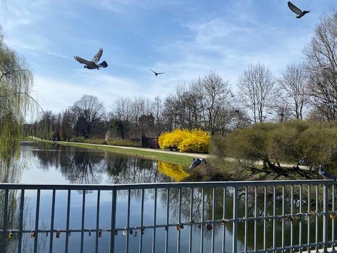 Park Helenów rozkwita na wiosnę! Mieszkańcy chętnie odpoczywają na świeżym powietrzu!