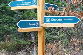 Zapadnie doły i Dąb Maciek w gminie Brody