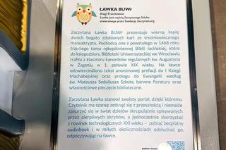 Zaczytana Ławka w centrum Wrocławia. Wygląda, jak księga baśni [ZDJĘCIA]