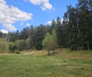 Stadion Leśny w Olsztynie dawniej i dziś. To tam bito rekordy świata w lekkiej atletyce