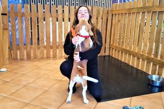 Psie przedszkole w Bydgoszczy