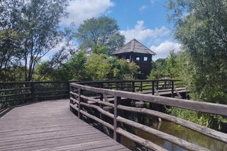 Rezerwat Zawodzie-Kalisz