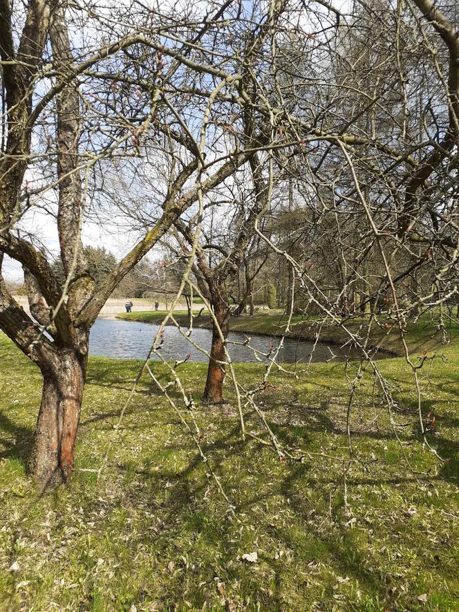 Łódzki Ogród Botaniczny obchodzi 50-lecie. To miejsce rozkwita i czeka na gości