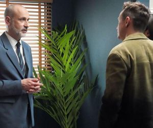 Barwy szczęścia odc. 3186. Weronika (Maria Świłpa), Błażej Modrzycki (Piotr Ligienza), Kornel (Jakub Bohosiewicz) 