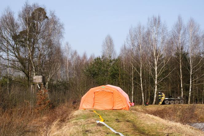 Katastrofa śmigłowca w Pszczynie. Szokujące ustalenia śledczych. Tak zginął Karol Kania i jego pilot