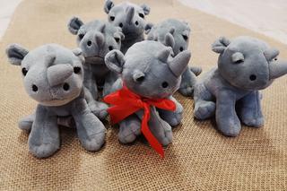 Gorzów: Pluszowe nosorożce dla dzieci z wypadków