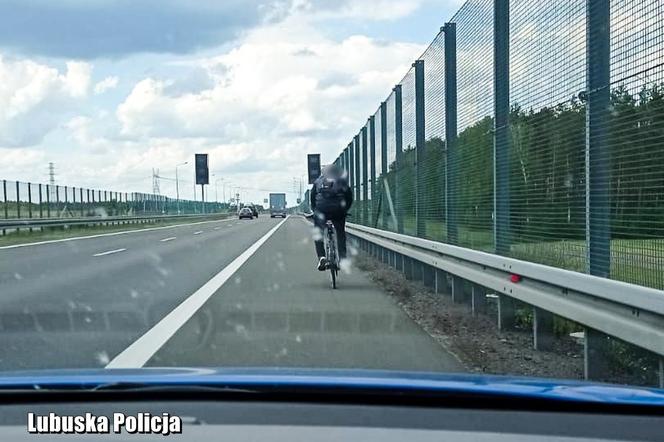 Jechał rowerem po DRODZE EKSPRESOWEJ! Jak tłumaczył się policjantom? ZDJĘCIA, WIDEO