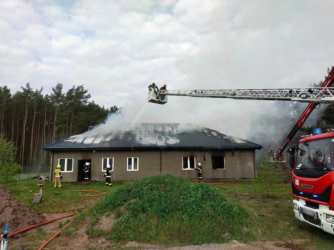 Pożar stolarni pod Nasielskiem