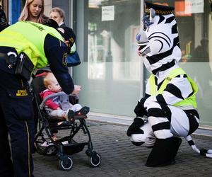 Zebra Basia rozdawała odblaski na chorzowskiej Wolce 