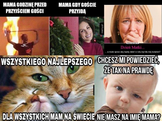 memy