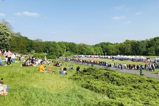 Latające psy w Poznaniu