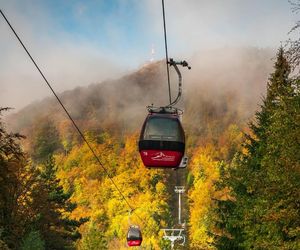 Kolej na Jaworzynę Krynicą nieczynna. Powodem przegląd techniczny. Jak długo potrwa? 
