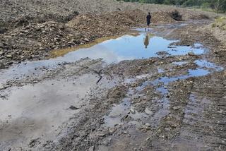 Potok Rycerski rozjechany niczym autostrada. Mogło zginąć kilka tysięcy ryb