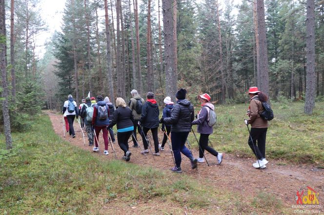 Poszli dla Niepodległej. W Krasnobrodzie odbył się IV. Rajd Nordic Walking