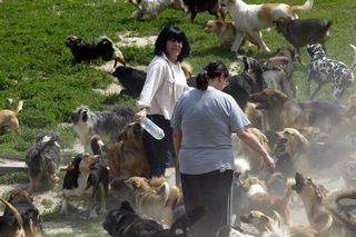 Bożena Wahl nie żyje. Wybitna malarka z Warszawy odeszła w wieku 91 lat