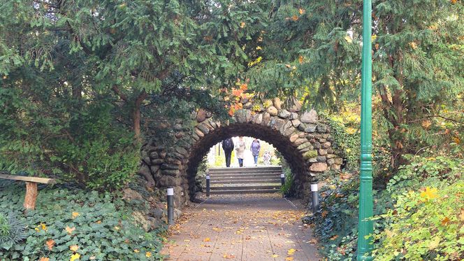 Jesień w Ogrodzie Botanicznym UKW. To ostatnia szansa na spacer wśród złotych liści!