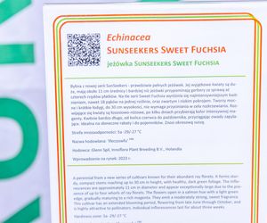 Targi Zieleń to życie 2025 - rośliny doniczkowe