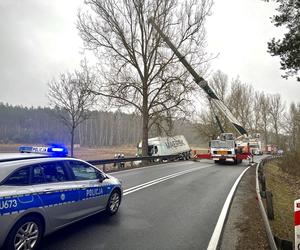 Nietrzeźwy kierowca Tira uderzył w drzewo na DK11 