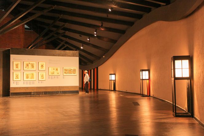 Muzeum Sztuki i Techniki Japońskiej „Manggha”