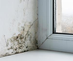 Jak usunąć pleśń ze ściany przy oknie?