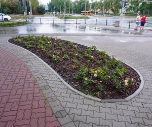 Kontrowersyjny skwerek na Ursynowie latem 2025