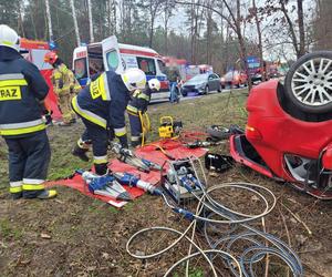 Śmiertelny wypadek pod Sandomierzem! Audi przygniecione przez drzewo. 35-latek nie żyje [ZDJĘCIA].